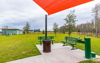 Dog park